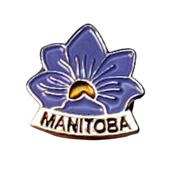 Vintage Manitoba Purple Flower Canada Lapel Pin - Picture 1 of 4